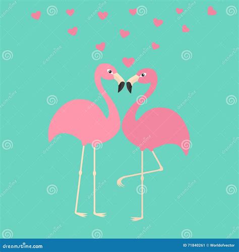 Two Pink Flamingo Couple In Love Hearts Exotic Tropical Bird Zoo