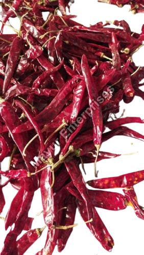 Hot Red Chillies At Best Price In Nagpur Maharashtra Mayur Enterprises