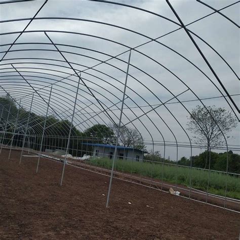 Single Span Plastic Tunnel Greenhouse Polyethylene Farm Agriculture Support