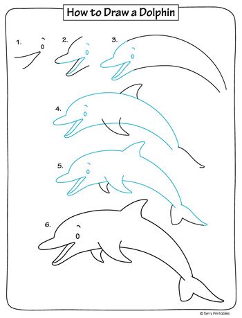 Dolphin Drawing Tutorial - Tim's Printables