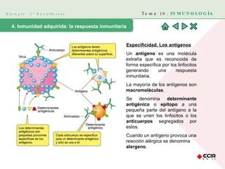 Tema 19 PPT