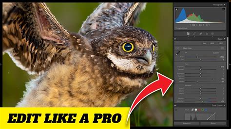 Lightroom Classic 2024 A Beginner S Guide To Image Editing YouTube