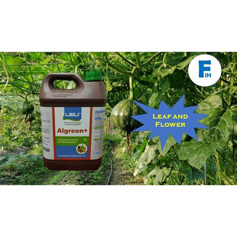 Foliar Fertilizer Algreen L Shopee Malaysia