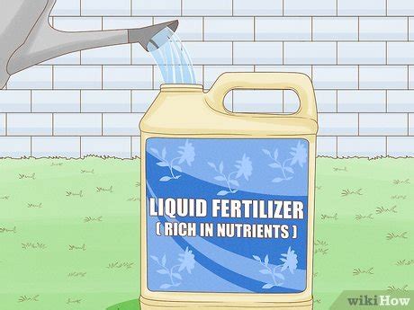 How to Apply Liquid Fertilizer: Uses for Your Lawn & Garden