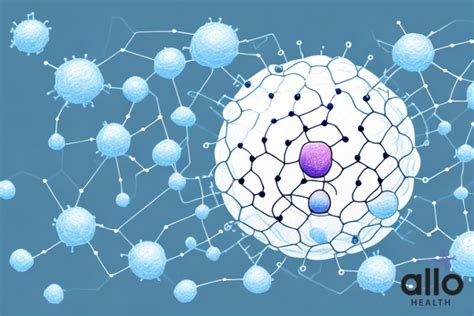 Understanding Lipid-Soluble Hormones: What You Need To Know | Allo Health