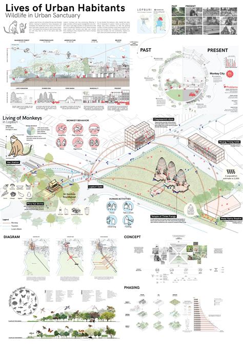 Lives Of Urban Habitants Wildlife In Urban Sanctuary Behance