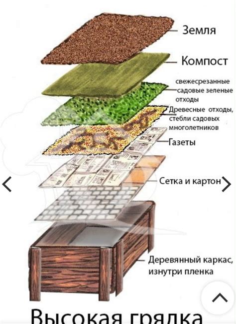 Pin by Tatiana Gold on Огород | Outdoor gardens design, Backyard ...