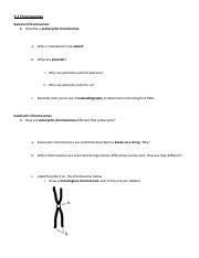 3 2 Chromosomes Outline Notes Pdf 3 2 Chromosomes Bacterial