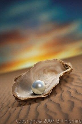 The Pearl Is In The Oyster And The Oyster Is At The Bottom Of The Sea