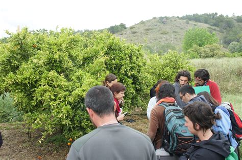 Becas Master De Agricultura Ecol Gica Universidad De