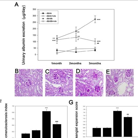 Effects Of Visfatin On Mrna Expression Of The Enzymes Related Lipid