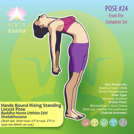 Vector Illustration Of The Most Basic Yoga Postures Female Figures