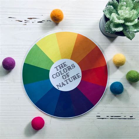 Nature Color Wheel Nature Scavenger Hunt Nature Study Etsy Canada