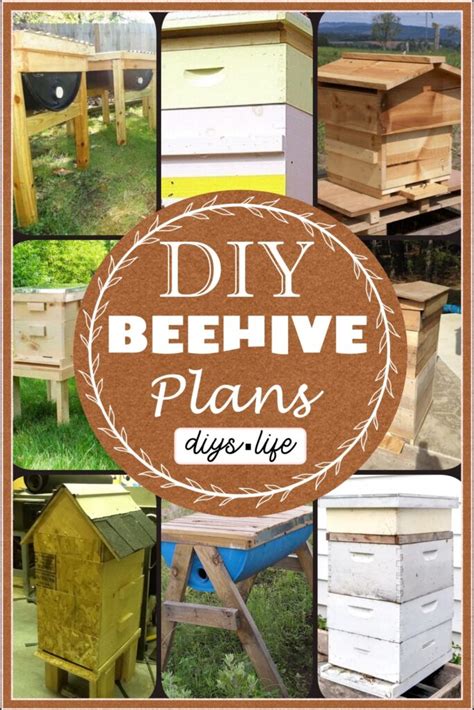 15 DIY Beehive Plans To Harvest Honey By Yourself - DIYS