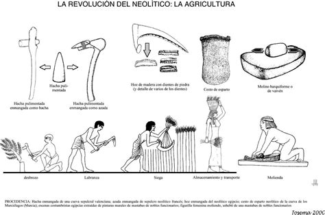 1 Selecciona tres técnicas agrícolas utilizadas por las culturas