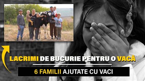 Lacrimi De Bucurie Pentru O Vac Familii Ajutate Cu Vaci Youtube