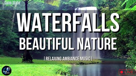 Waterfalls Beautiful Nature | Relaxing Ambiance Music |studying ...