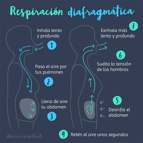 Respiraci N Diafragm Tica Respiracion Y Relajacion Ejercicios De