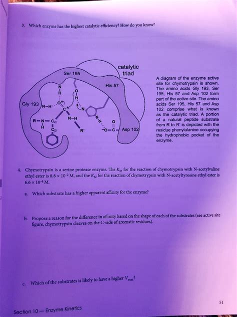 Solved Which Enzyme Has The Highest Catalytic Efficiency How Do You Know Catalytic Triad Ser