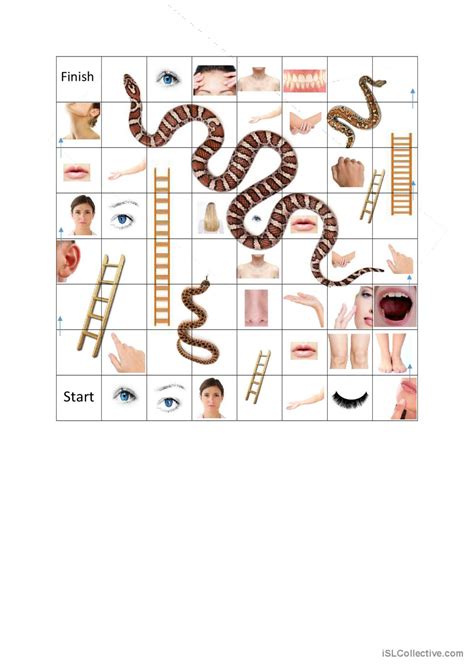 Body Parts Board Game Board Game English Esl Worksheets Pdf And Doc