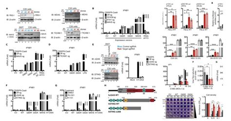 Antibodies.com on LinkedIn: #antibodies #elisa #lifescience #research #scientist