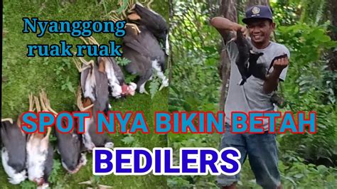 SPOT NYA BIKIN BETAH BEDILERSYANGGONGRUAK RUAK Fery Hunter YouTube