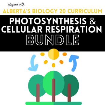 Photosynthesis Cellular Respiration Unit BUNDLE By The Moore You Know