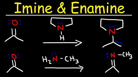 Imine and Enamine Formation Reactions With Reductive Amination - YouTube