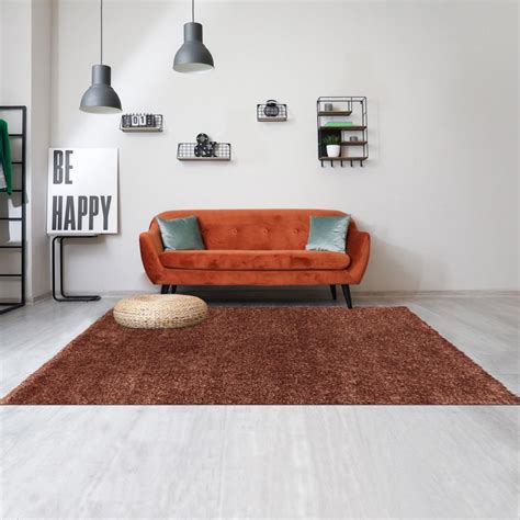 Tapis shaggy 160x230 SHAGGY TOP Marron OEKO TEX idéal pour Salon