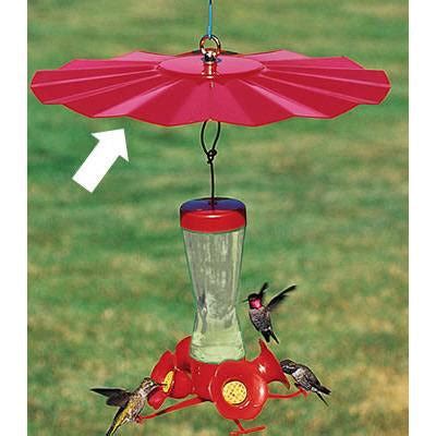 Hummingbird Weather Guard – Backyard Bird Centre