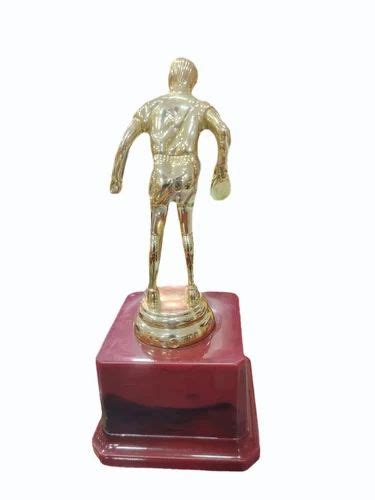 Brass Award Trophy At Rs Piece Award Trophies In Ahmedabad Id