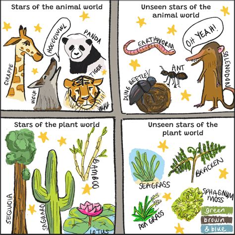 unseen stars   plant  animal world mongabay kids