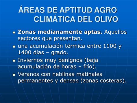 PPT Aptitud Olivícola de la Región del Maule Producción de Aceite de