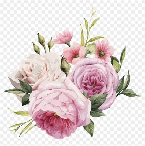 Pink Flowers Rose Color Pink Rose Vector Png Free Transparent Png