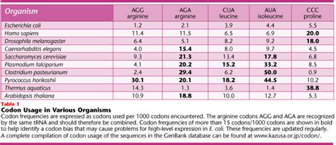 E Coli Bl Codon Usage Table Infoupdate Org