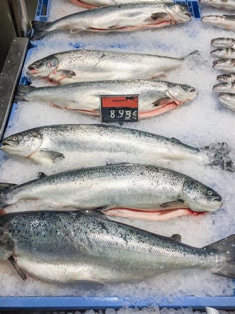 Fresh Raw Salmon Fish For Sale At Local Market In Ibiza Spain Stock