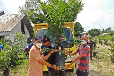 Foto Mulai Mei Dana Perkebunan Sawit Rakyat Naik Jadi Rp