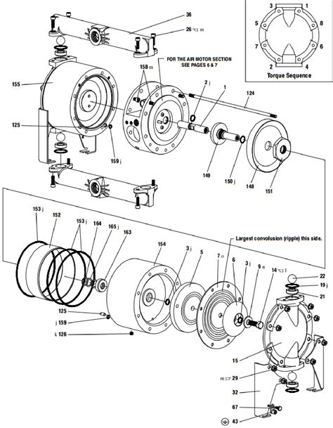 B M M Ng Cao P Aro Ph A Ass Sst