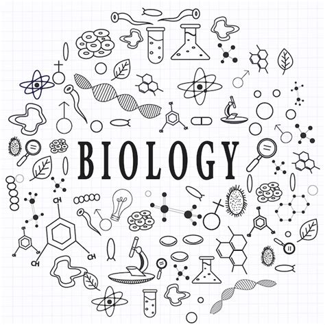 Premium Vector Hand Drawing Biology Education Doodle Icon Idea Set