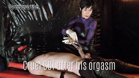 Free Femdom Cbt Porn Videos Xhamster