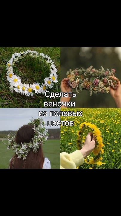 Несколько идей о том, что можно поделать летом, если скучно. Заранее ...
