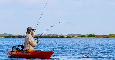 Texas Coast Fishing Calendar Audrey Edmunds