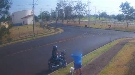 Idoso Que Caminhava O Cachorro Assaltado Luz Do Dia Em