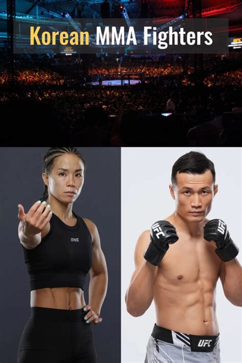 7 Best Korean MMA Fighters in the UFC and Other Organizations