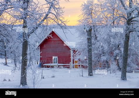 winter in Sweden Stock Photo - Alamy