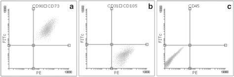 Flow Cytometry Analysis Demonstrate That Ad Mscs At Passage Four Are