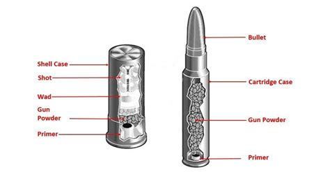 Ammunition Basics Spotter Up