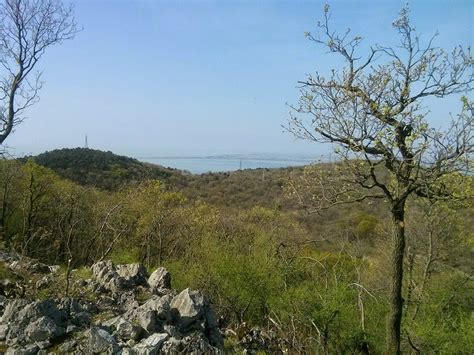 Castello Di Duino Nella Grande Guerra Marcia Internazionale