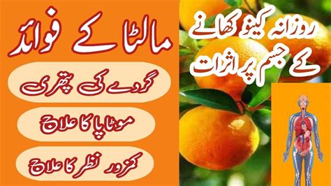 KINU KHANE KA FAYDE FAWAID HEALTH BENEFITS OF CITRUS FRUITS BEST