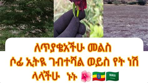 ለጥያቄአችሁ መልስ ሶፊ ኢትዮ ገብተሻልወይ የት ነሽ ላላችሁ መልስ ይዥላችሁ መጥቻለሁ YouTube